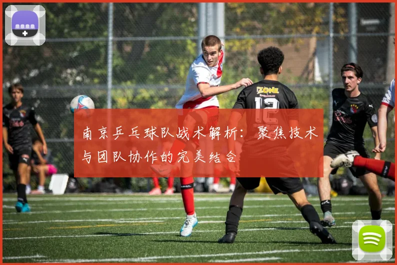 南京乒乓球队战术解析：聚焦技术与团队协作的完美结合