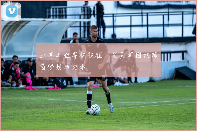 土耳其世界杯征程：星月军团的绿茵梦想与泪水