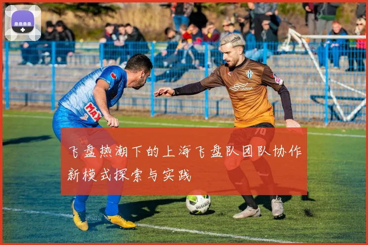 飞盘热潮下的上海飞盘队团队协作新模式探索与实践