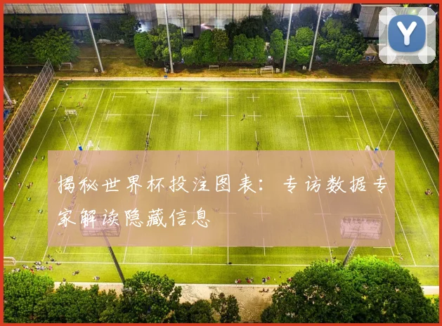 揭秘世界杯投注图表：专访数据专家解读隐藏信息