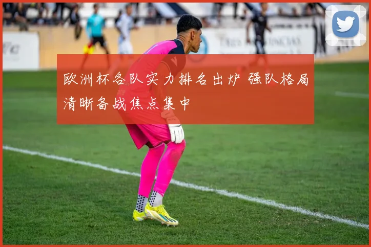 欧洲杯各队实力排名出炉 强队格局清晰备战焦点集中