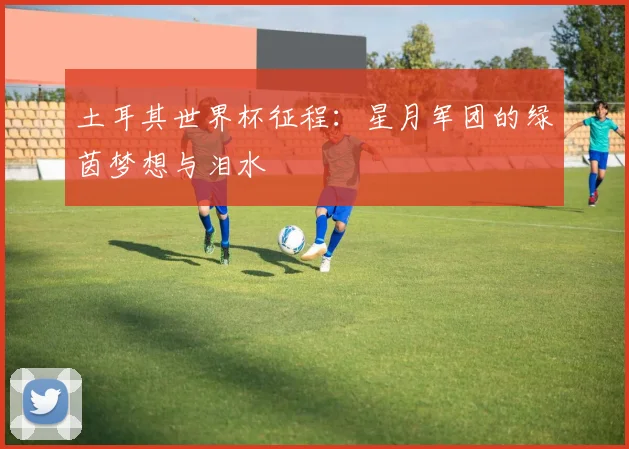 土耳其世界杯征程:星月军团的绿茵梦想与泪水