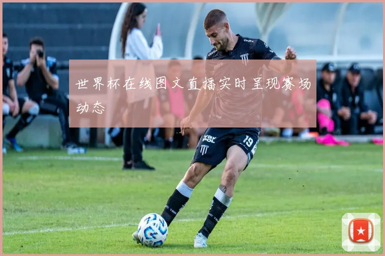 世界杯在线图文直播实时呈现赛场动态