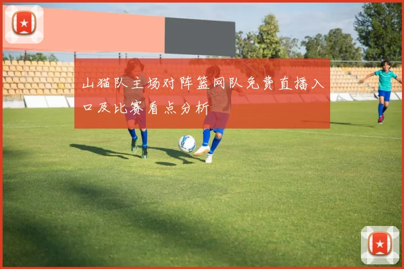 山猫队主场对阵篮网队免费直播入口及比赛看点分析