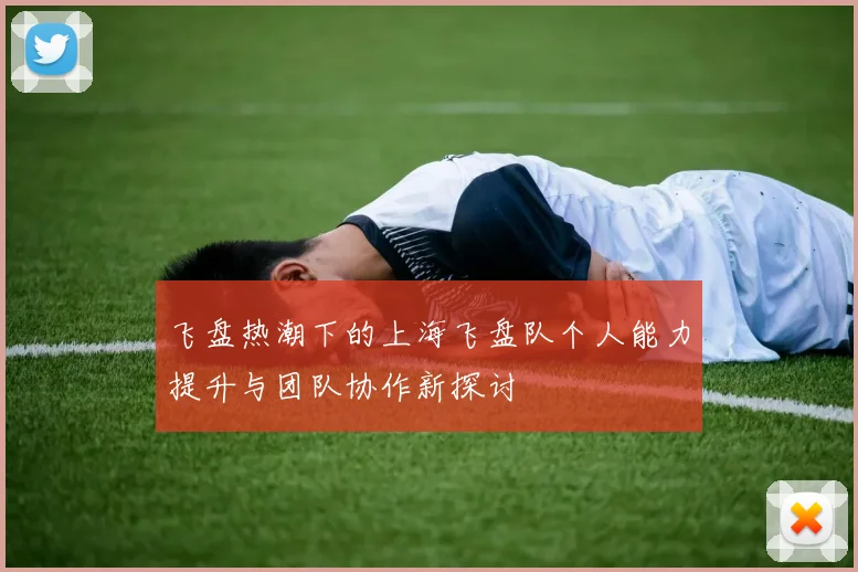 飞盘热潮下的上海飞盘队个人能力提升与团队协作新探讨