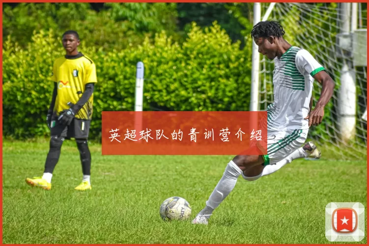英超球队的青训营介绍